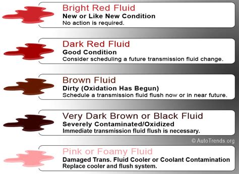 transmission fluid leak color|How to Determine Leaking Fluid by Color